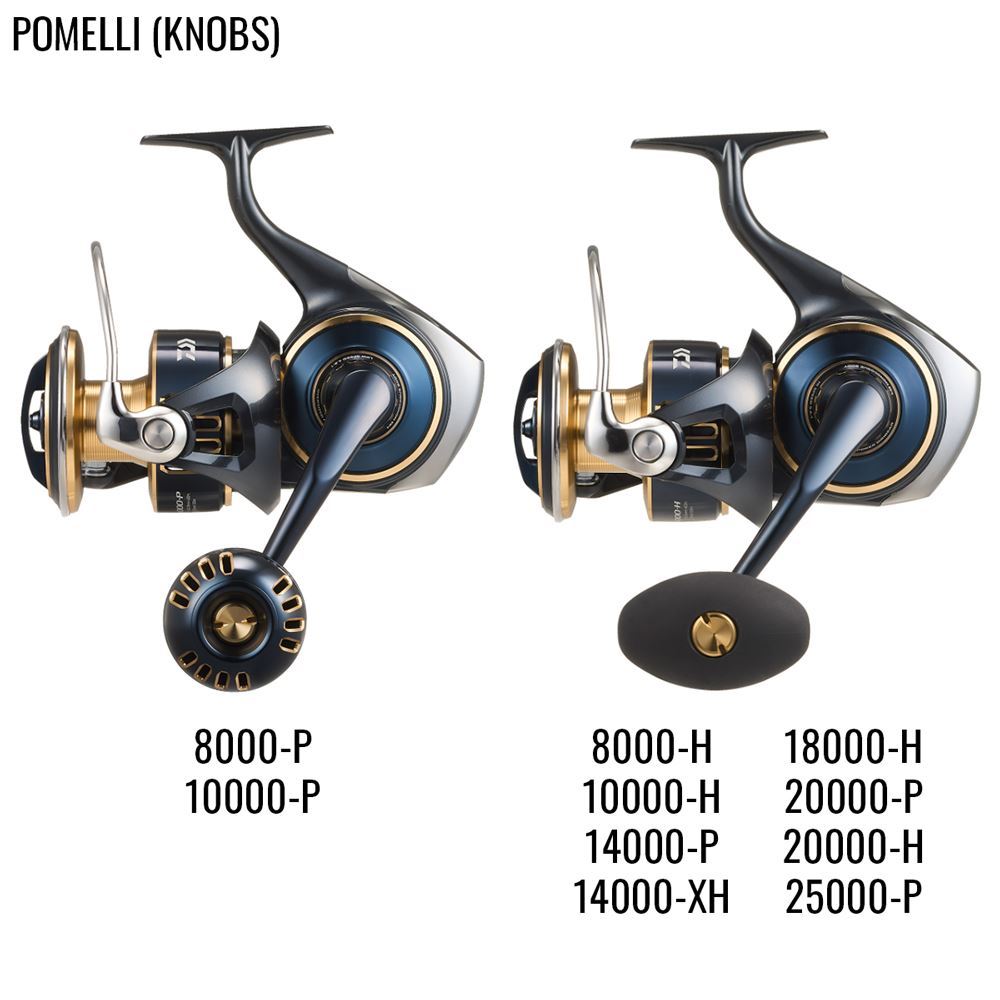 MULINELLO 25 SALTIGA G DAIWA - immagine 3