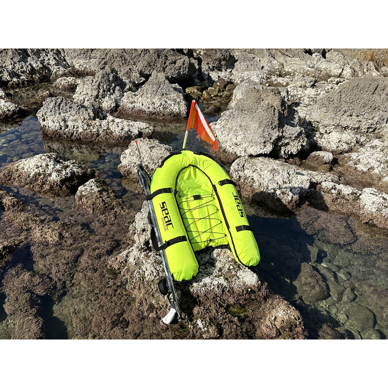 PLANCETTA SUB BRIDGE - SEAC - immagine 10