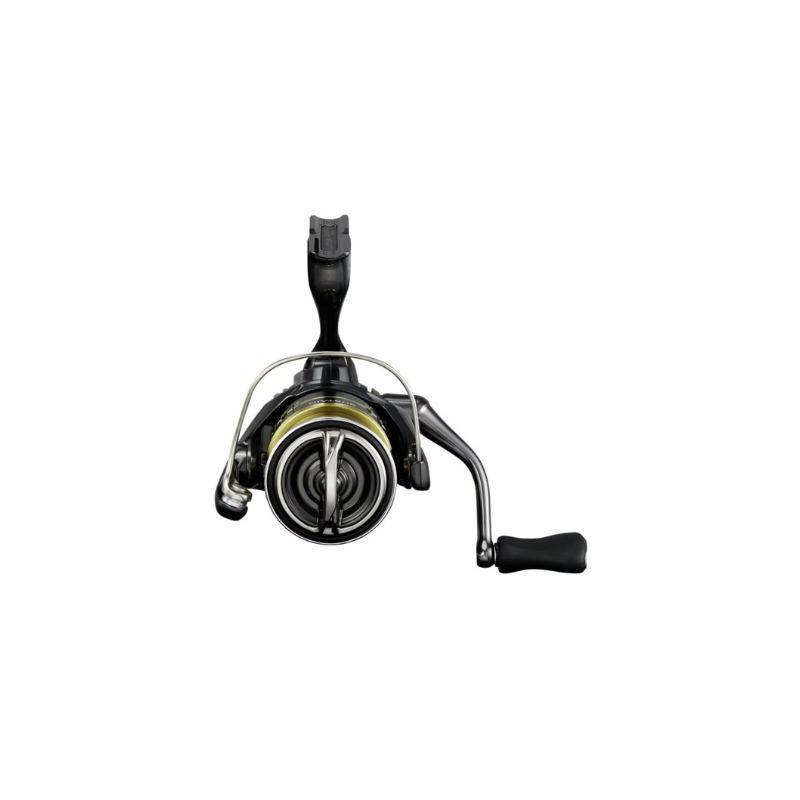 MULINELLO SHIMANO SUSTAIN